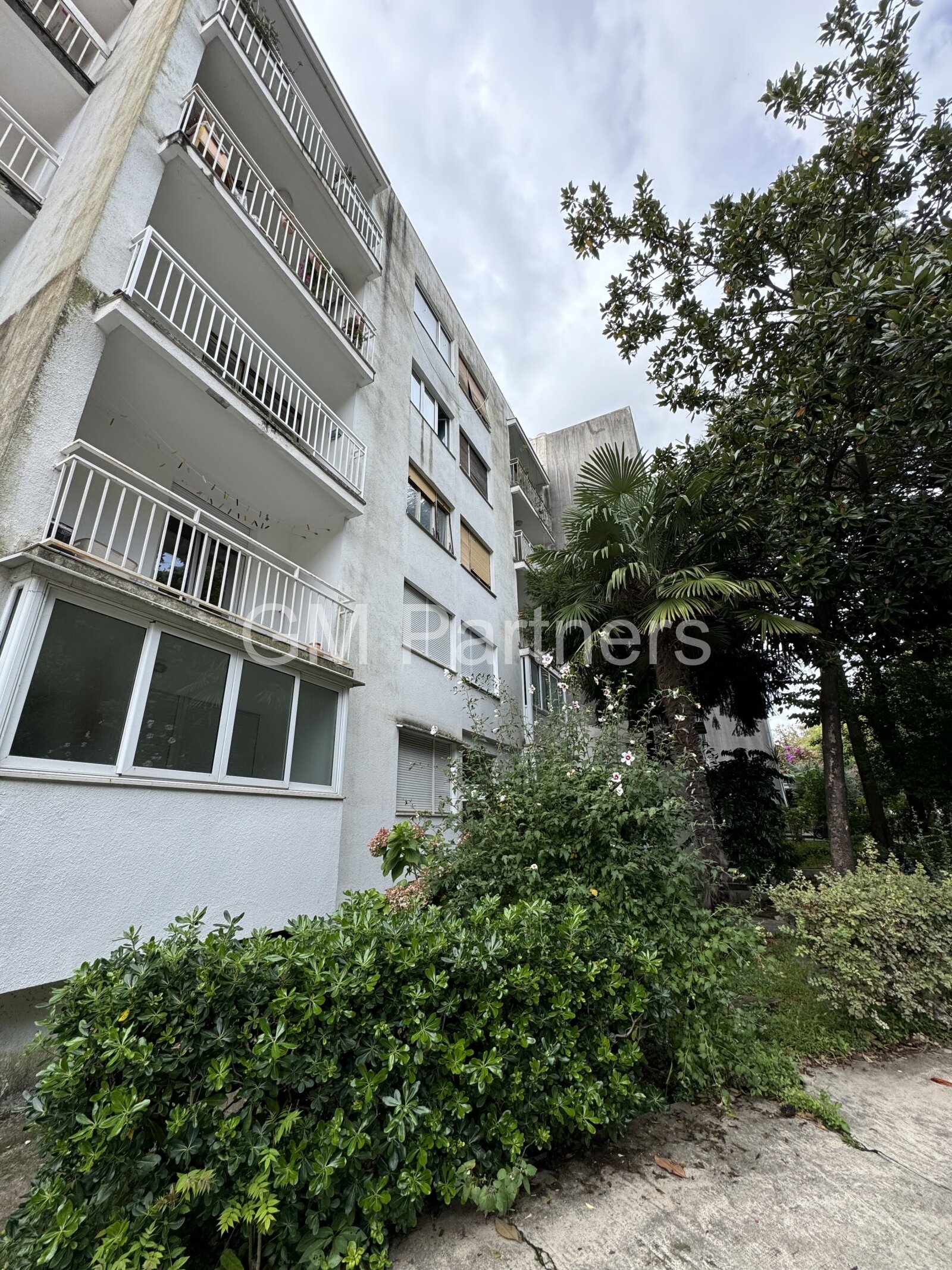 Herceg Novi - Savina