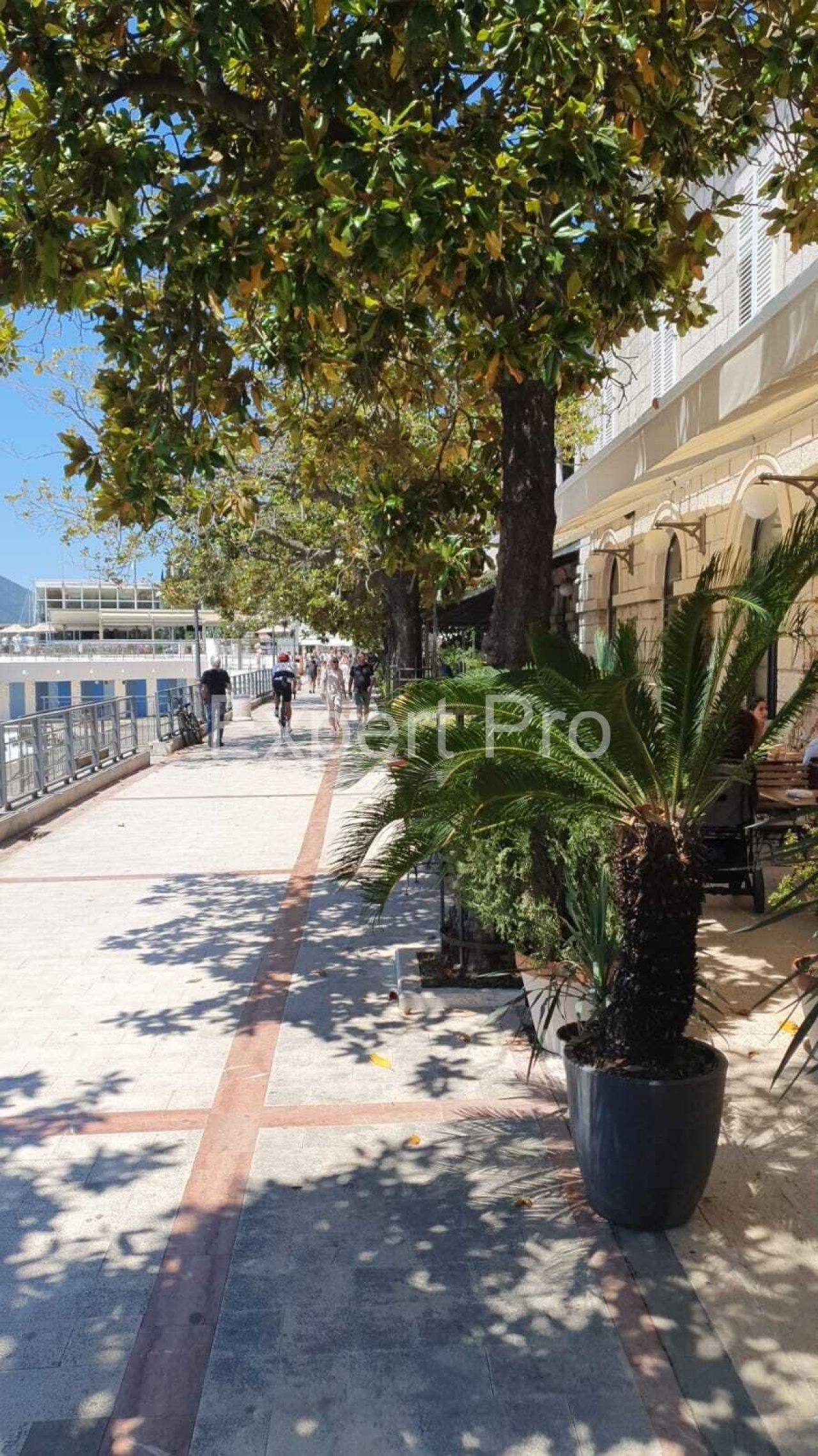 Promenade am Meer 